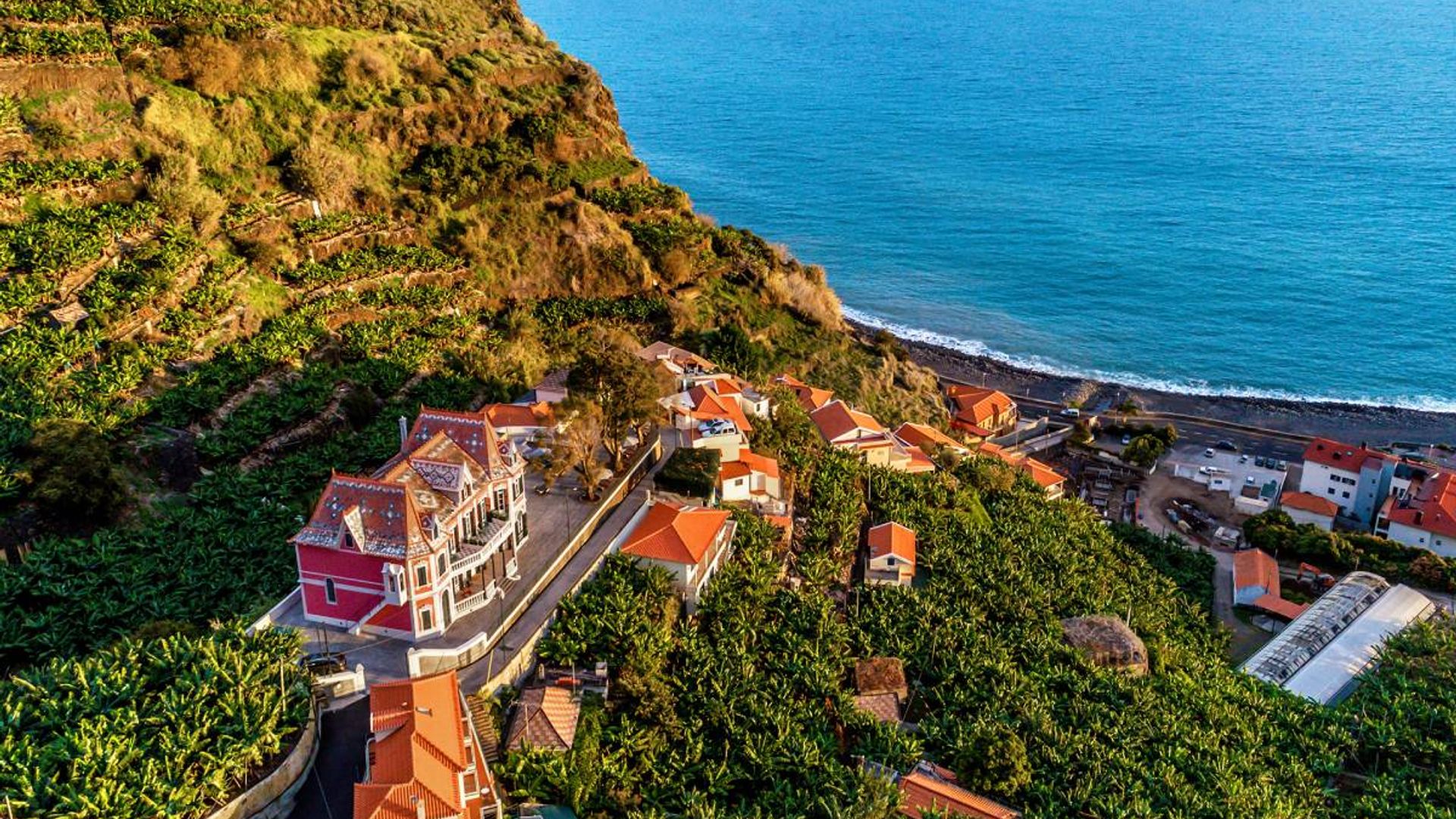 Vær forsigtig Næste pebermynte 9 reasons why Madeira should be at the top of your travel list – Hotels  Giovani