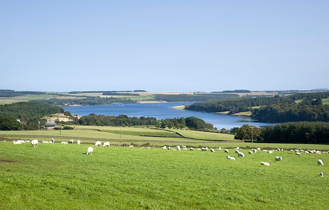 lord-crewe-arms-resevoir