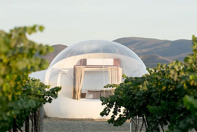 bubble-suite